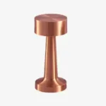 Lampe Bronze Liseuse